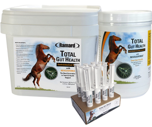 Ramard Total Gut Health for Horse - Power Digestive Relief - Amplify Intestinal Health and Immunity - Horse Performance Formula for Digestion - Natural Horse Supplies. GI combo product that addresses the entire GI tract and promotes overall gut health.
