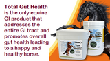 TOTAL GUT HEALTH SUPPLEMENTS FOR HORSES - Caring Horse Supplies