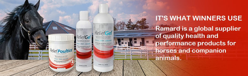 RELIEF GEL FOR HORSES - Caring Horse Supplies