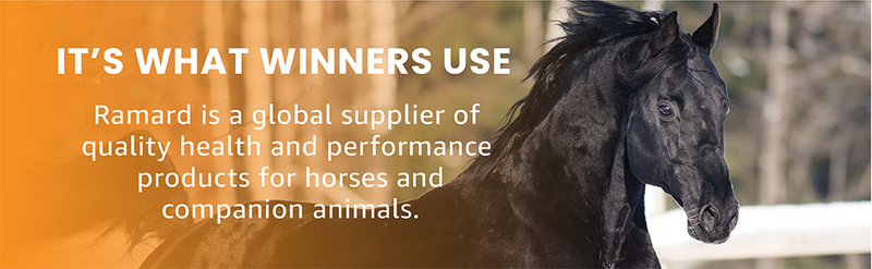 TOTAL RESPIRATORY & ENDURANCE HORSE SUPPLEMENTS IN SYRINGE - Caring Horse Supplies