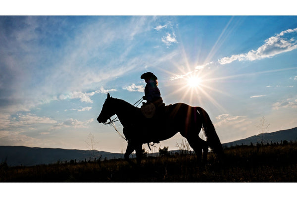 Caring Horse Supplies Offers the Best Pre & Probiotic Supplements for Horses