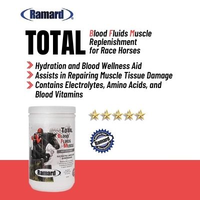 TOTAL BLOOD FLUIDS MUSCLE FOR HORSES - Muscle building horse supplements