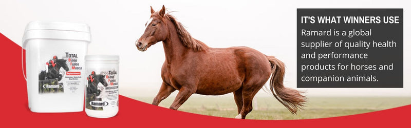 TOTAL BLOOD FLUIDS MUSCLE FOR HORSES - Caring Horse Supplies