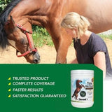 TOTAL GUT HEALTH SUPPLEMENTS FOR HORSES - Caring Horse Supplies