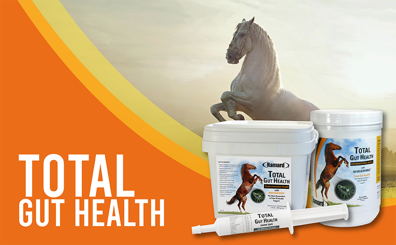 RAMARD TOTAL GUT HEALTH HORSE SUPPLEMENTS IN SYRINGE - Support for Horse Digestive Health