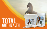 TOTAL GUT HEALTH SUPPLEMENTS FOR HORSES  is an effective gut balancer & digestive supplement.