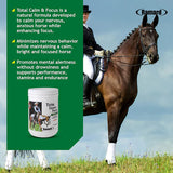 TOTAL CALM & FOCUS SUPPLEMENTS FOR HORSES - Race Horse Performance Supplements