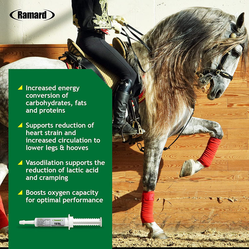 RAMARD TOTAL HORSE ENERGY & STAMINA SUPPLEMENTS SYRINGE - with vitamins & minerals for peak Stamina, Energy, & Performance