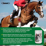 TOTAL BLOOD FLUIDS MUSCLE FOR HORSES - Total Blood Fluids Muscle was developed to replenish the vital nutrients lost during stress and exercise. 