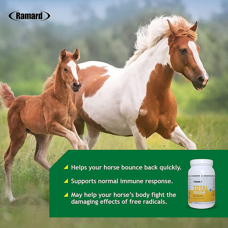 TOTAL TOPLINE POWDER HORSE SUPPLEMENTS 2.05 lb - Ramard Total Topline Powder Horse Supplement