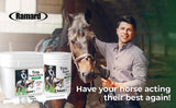 TOTAL CALM AND FOCUS HORSE SUPPLEMENT IN SYRINGE - Caring Horse Supplies