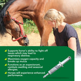 TOTAL RESPIRATORY & ENDURANCE HORSE SUPPLEMENTS IN SYRINGE - The Best Horse Supplement for Total Respiratory & Endurance Support