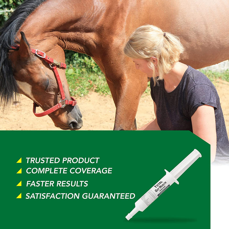 RAMARD TOTAL GUT HEALTH HORSE SUPPLEMENTS IN SYRING - Caring Horse Supplies