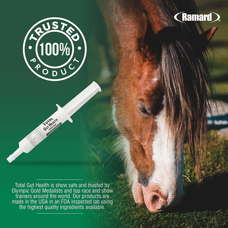 RAMARD TOTAL GUT HEALTH HORSE SUPPLEMENTS IN SYRING - Caring Horse Supplies