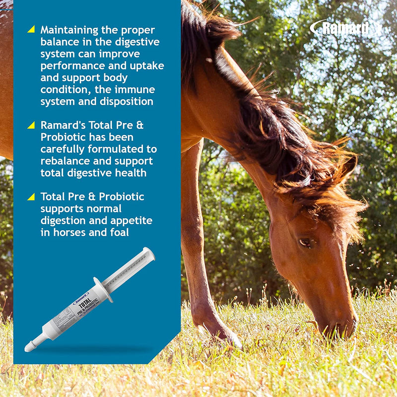 TOTAL PRE & PROBIOTIC HORSE SUPPLEMENTS IN SYRINGE - Caring Horse Supplies
