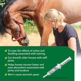 RAMARD TOTAL EQUINE RELIEF SYRINGE 1/2 OZ -PAIN RELIEF FOR HORSES - Horse Joint Pain Relief
