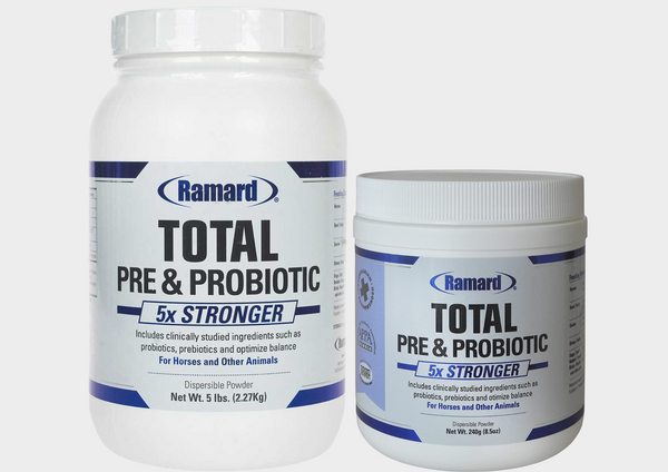 Total Pre and Probiotic Supplement supports digestion and appetite in horses