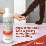RELIEF GEL FOR HORSES - Caring Horse Supplies