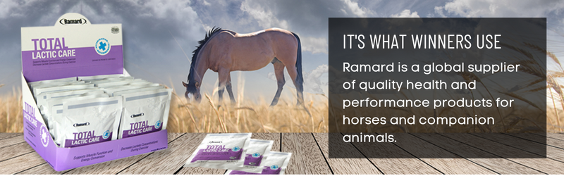 TOTAL LACTIC CARE FOR HORSES - Caring Horse Supplies